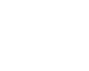 DHS Logo